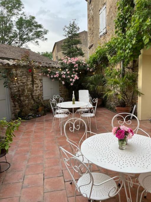 La Maison De Mama C: Charming French Village Home Sainte-Colombe-sur-l'Hers Екстер'єр фото